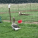 View album View album