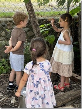 IMG_0306 IMG_0306
