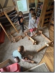 IMG_6017 IMG_6017