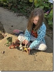 IMG_0246 IMG_0246