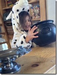 IMG_8446 IMG_8446