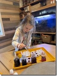 IMG_8902 IMG_8902
