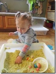 IMG_2266