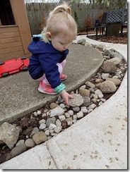DSCN0310