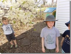 DSCN5913 DSCN5913