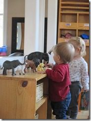 IMG_3290