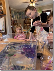 IMG_5138 IMG_5138