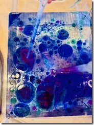 IMG_5141 IMG_5141