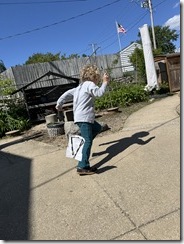 IMG_6493 IMG_6493