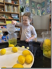 IMG_6528 IMG_6528