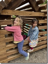 IMG_6591 IMG_6591