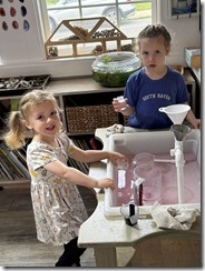 IMG_7390 IMG_7390