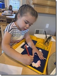 IMG_9006 IMG_9006
